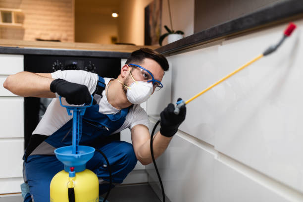 Best Affordable Pest Control Services  in Long Grove, IL