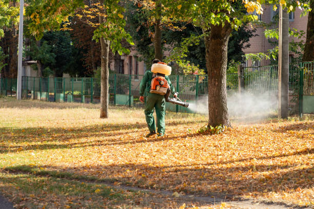 Best Pest Control Near Me  in Long Grove, IL