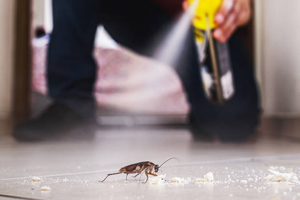 Best Affordable Pest Control Services  in Long Grove, IL