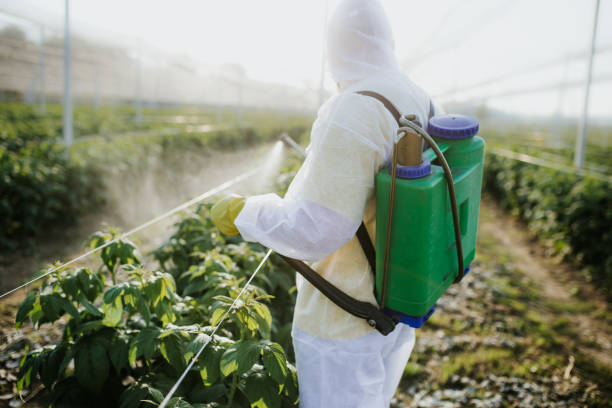 Pest Control for Restaurants in Long Grove, IL